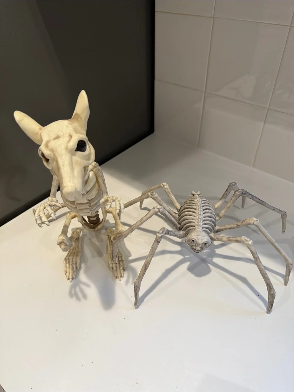White Skeleton Reptile & Spider Habitat Décor Set
